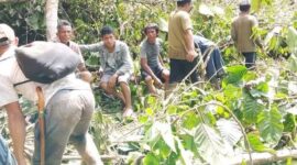 Tim BPBD dan warga evakuasi barang dari rumah rusak akibat angin kencang dan longsor di Sulawesi. (Dok. BNPB)
