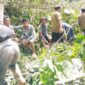 Tim BPBD dan warga evakuasi barang dari rumah rusak akibat angin kencang dan longsor di Sulawesi. (Dok. BNPB)
